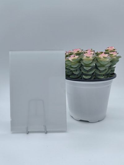 زجاج معشق ملون