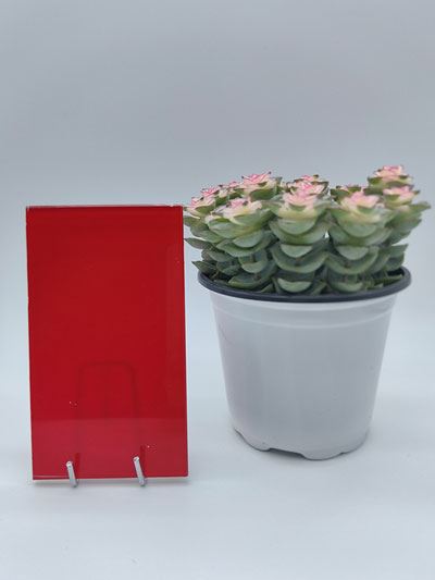 زجاج معشق ملون
